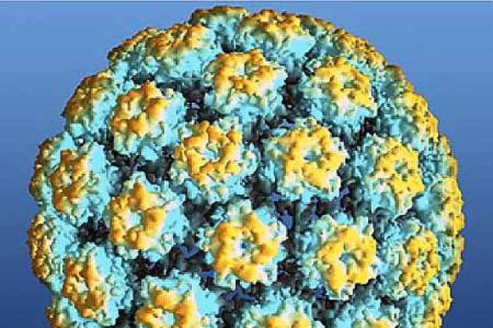 HPV veira, myndin er tekin með rafeindasmásjá.