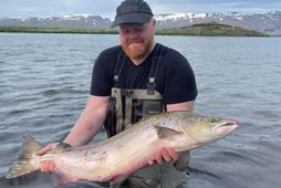 Aðalsteinn Jóhannsson með 104 sentímetra fisk af Mjósundi í Laxá í Aðaldal. Veiddur í júlí …