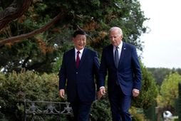 Biden og Xi í Kaliforníu í nóvember.