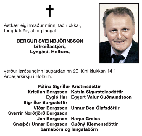 Bergur Sveinbjörnsson