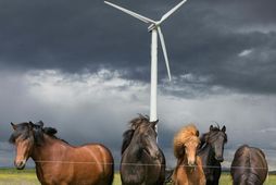 Franska orkufyrirtækið Qair er eitt þeirra fyrirtækja sem þróa nú og undirbúa vindorkugarða víða um …