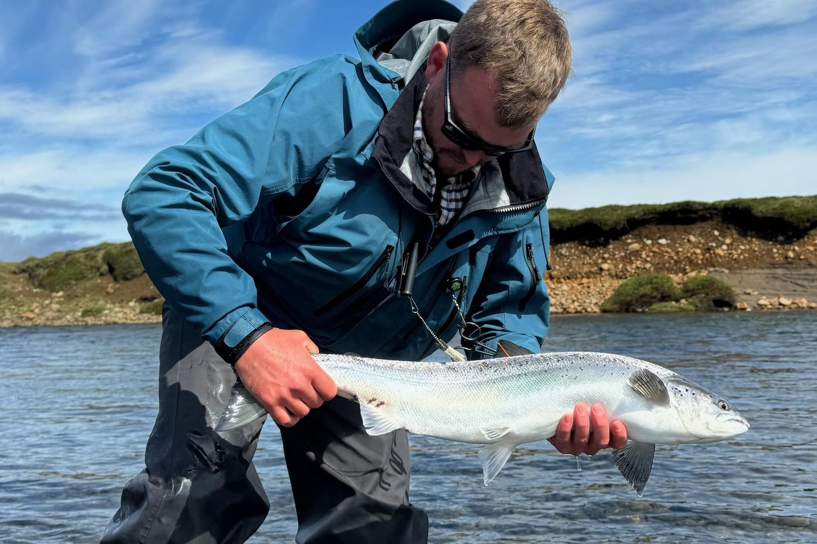 Hrygna veidd í Svartbakkahyl í Miðfjarðará í Bakkafirði og merkt …