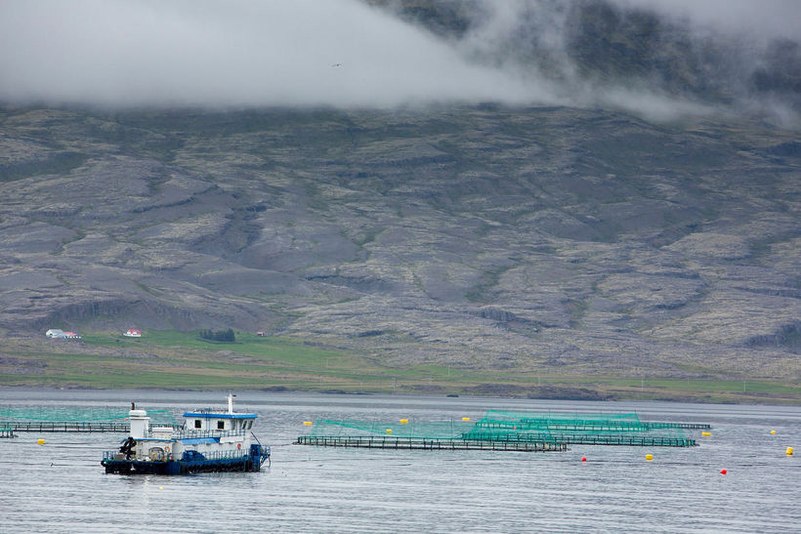 Tilkynnt var um tvö göt á kví Arctic Sea Farm …