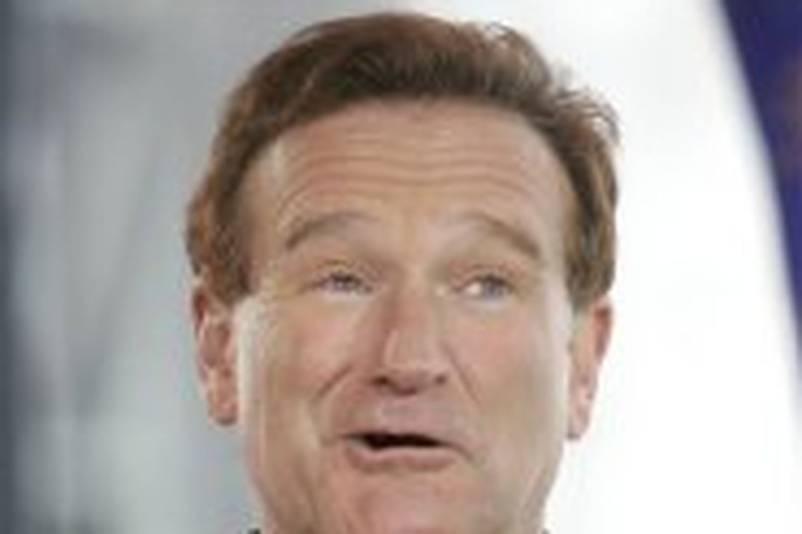 Leikarinn Robin Williams hefur skráð sig í áfengismeðferð.