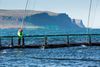 Mowi acquires 51.28% of Arctic Fish