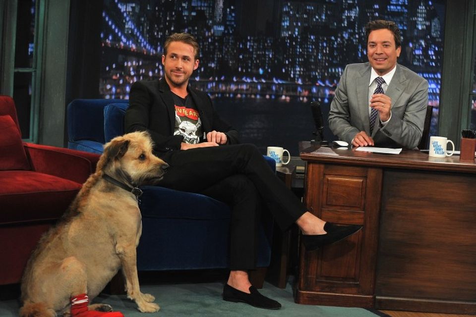 Ryan Gosling ásamt hundinum sínum George í þættinum Late Night með Jimmy Fallon í júlí …