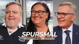 Spursmál: Rugby-rimma, remúlaðislys og umdeildur kjörþokki