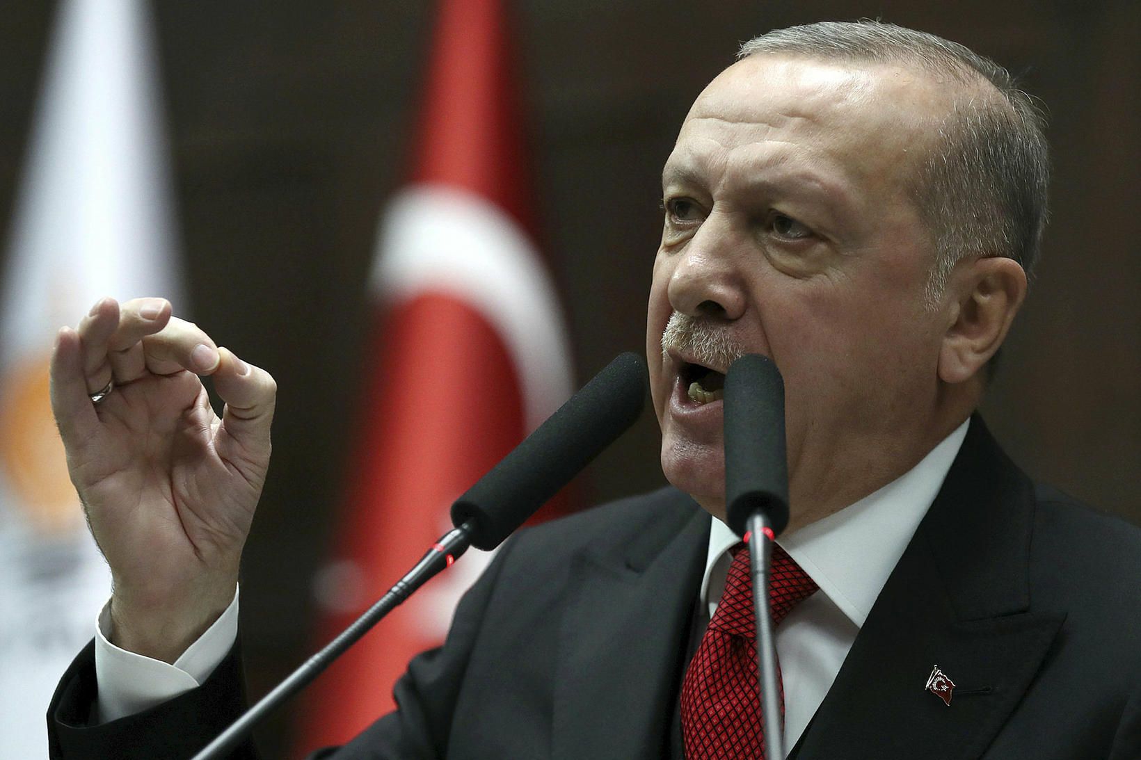 Recep Tayyip Erdogan forseti Tyrklands. Ríkisstjórn hans hefur allt frá …