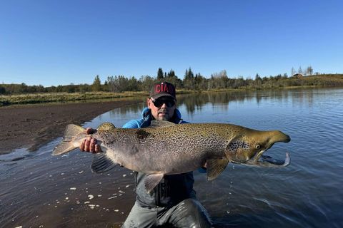 Magnaður stórlax. Skolturinn er eins vígalegur og þeir verða. Þetta er einn af stærstu löxum …