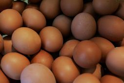Á innflutt egg er lagður 30% verðtollur, auk 208-390 króna magntolls á hvert kíló. Á …