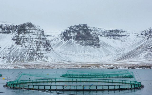 Sjókvíar Arnarlax í Tálknafirði. Fyrirtækið er stærsta fiskeldisfyrirtæki landsins.