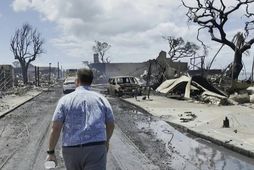Hawaii Governor tours aftermath of deadly wildfires in Lahaina, Hawaii