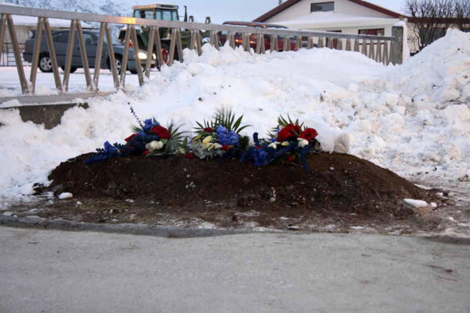 Gröf Fischers í Laugardælakirkjugarði.