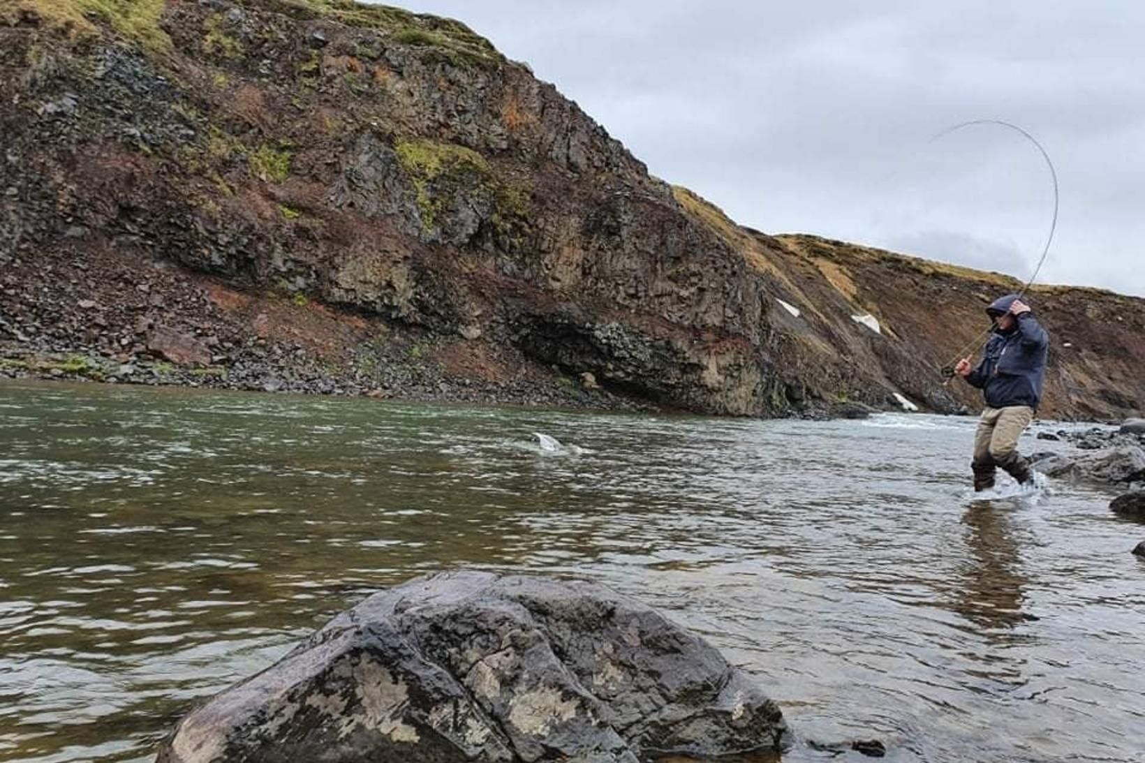 Lax á í Holunni í Kjarará. Þverá/Kjarará hafa gefið flesta …