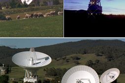 Loftnetsstöðvar Deep Space Network NASA taka nú á móti gögnunum frá New Horizons í Madrid …