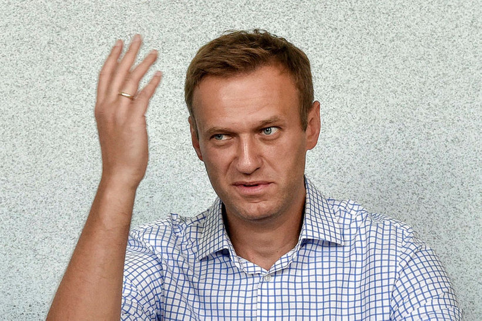 Alexei Navalny, leiðtogi stjórnarandstöðunnar í Rússlandi, hefur verið dæmdur í …